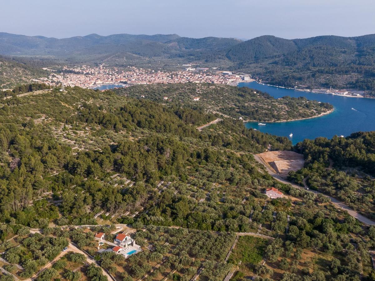 Villa Barbara - Olive Paradise, With Chlorine-Free Pool Vela Luka Buitenkant foto