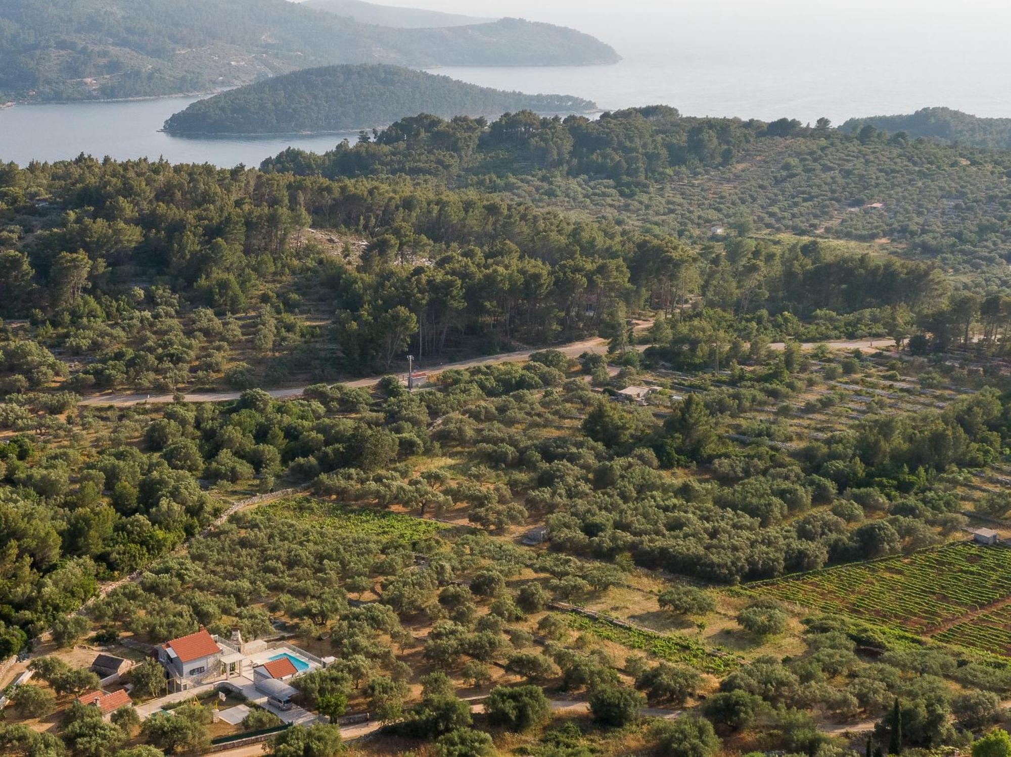 Villa Barbara - Olive Paradise, With Chlorine-Free Pool Vela Luka Buitenkant foto